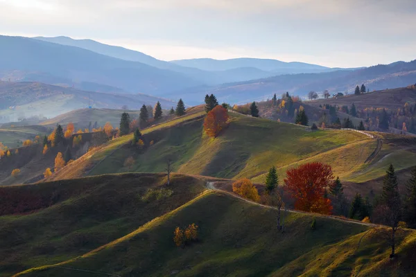 Όμορφο Φθινοπωρινό Τοπίο Καταπράσινα Δέντρα Πορτοκαλί Χρωματιστό Δάσος Ψηλά Βουνά — Φωτογραφία Αρχείου