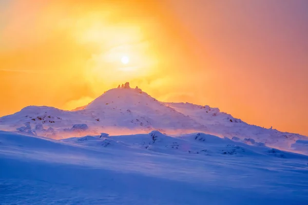 日の出の空 黄色の輝きを持つ冷凍の雪の吹きだまりに立っている木を啓発します — ストック写真