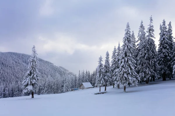 高高的山在森林里覆盖着积雪 有一个孤独的老木屋站在草坪上的围栏和它背后的森林 梦幻般的冬季风光 — 图库照片