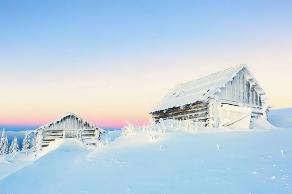 調和のとれた山の景色を望む観光客のための冬のキャンプ 雪の巨人の間で火災のない孤独な小屋 おとぎ話の日の白い公正な木 — ストック写真