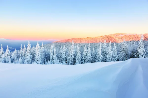 Early morning sunbeam shelter sky and forest covered with snow, drawing the way for adventurous extreme traveler