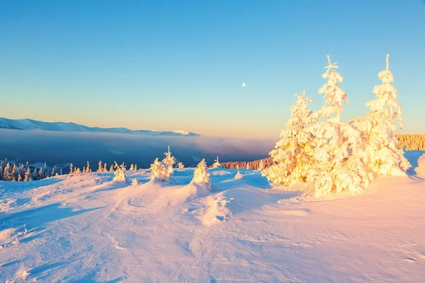 Lejos Las Altas Montañas Cubiertas Nieve Blanca Hay Pocos Árboles —  Fotos de Stock
