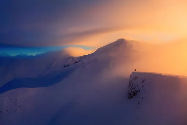 Harika Manzara Bedava Rider Dağcı Ile Yüksek Dağlarda Kar Sis — Stok fotoğraf