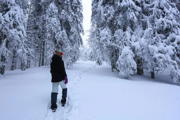 Dziewczyna Ski Suite Trafia Trop Trawniku Pokryte Śniegiem Które Stoją — Zdjęcie stockowe