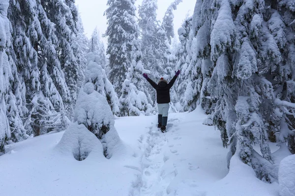 滑雪套房的女孩走在小径上 在积雪覆盖的草坪上 漂亮的树在寒冷的冬天早晨矗立着雪花 美丽的冬天背景 梦幻般的冷杉在魔法森林 — 图库照片