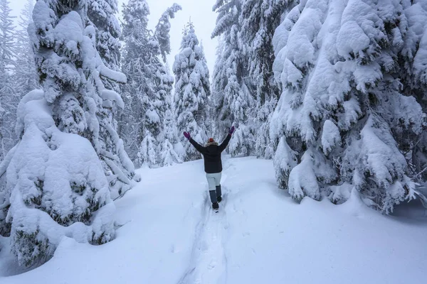 滑雪套房的女孩走在小径上 在积雪覆盖的草坪上 漂亮的树在寒冷的冬天早晨矗立着雪花 美丽的冬天背景 梦幻般的冷杉在魔法森林 — 图库照片