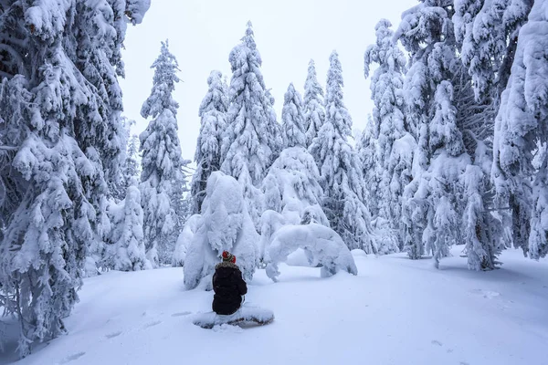 滑雪套房里的女孩坐在积雪覆盖的草坪上 漂亮的树在寒冷的冬天早晨矗立着雪花 美丽的冬天背景 梦幻般的冷杉在魔法森林 — 图库照片