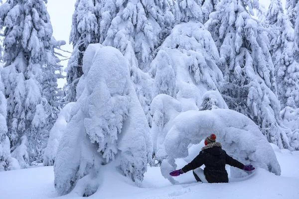 滑雪套房里的女孩坐在积雪覆盖的草坪上 漂亮的树在寒冷的冬天早晨矗立着雪花 美丽的冬天背景 梦幻般的冷杉在魔法森林 — 图库照片