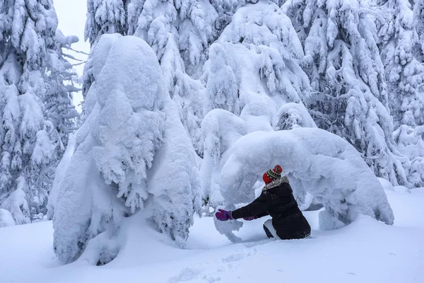 Dziewczyna Ski Suite Siedzi Trawniku Pokryte Śniegiem Które Stoją Drzewa — Zdjęcie stockowe