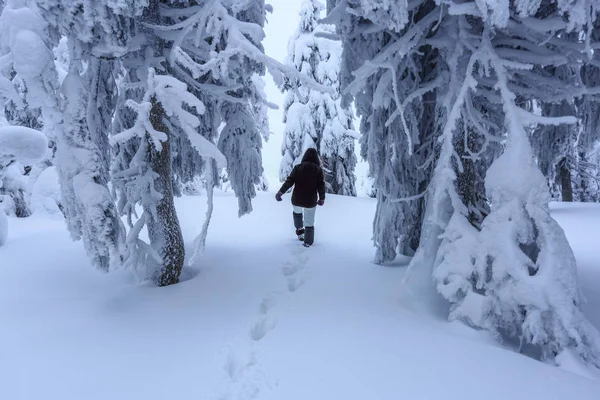 Dziewczyna Ski Suite Trafia Trop Trawniku Pokryte Śniegiem Które Stoją — Zdjęcie stockowe