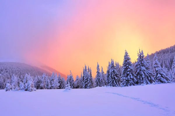 Hermosa Puesta Sol Rosa Brilla Ilumina Los Pintorescos Paisajes Con — Foto de Stock