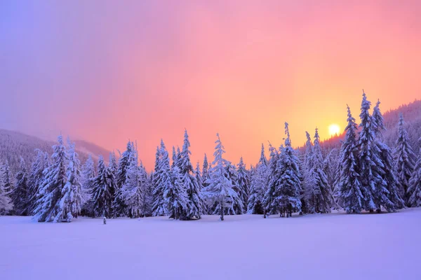 Sunrise Verlicht Hemel Berg Bomen Staan Sneeuwlaag Vallende Bevroren Sneeuw — Stockfoto