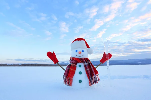 Winter scenery. Happy snowman in hat, red gloves and scarf on the background of mountains , blue sky. Field covered with snow. Cold day.