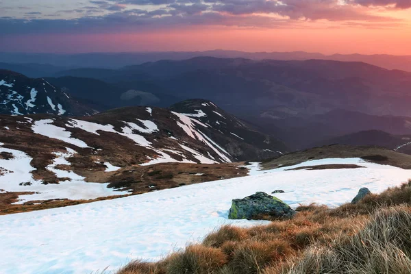 The landscape of the high mountains in snow. The grass and the rocks on the meadow. Sunrise is lightening the horizon. Sky with clouds. The place of tourists rest Carpathians Ukraine Europe.