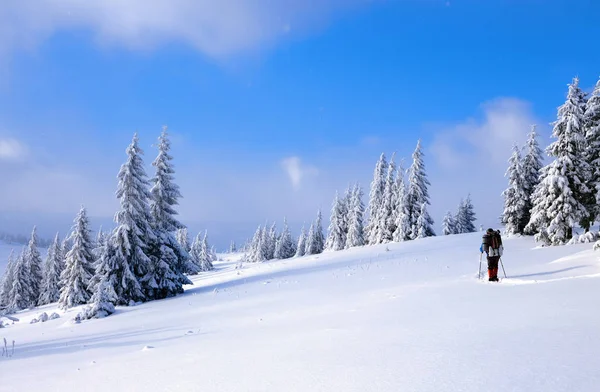 在寒冷的雪天里 这个人正在高山上进行雪域和森林 神话般的冬季背景的传单 — 图库照片
