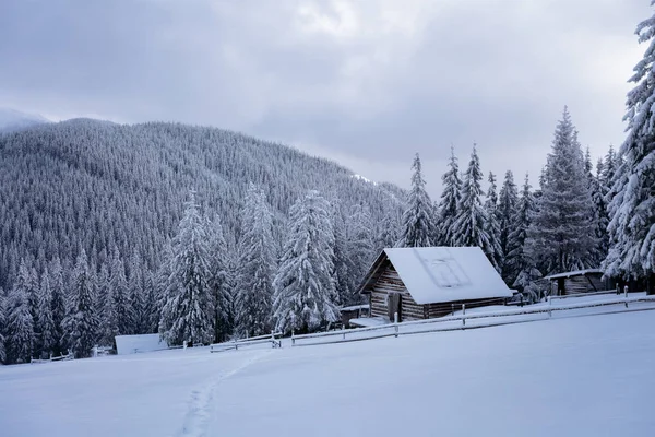 숲에서 산에서 잔디밭에 울타리와 외로운 오두막은 눈으로 — 스톡 사진