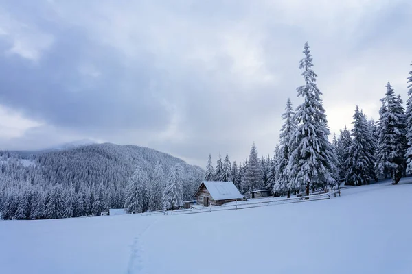 Alto Las Montañas Bosque Cubierto Nieve Hay Una Vieja Choza —  Fotos de Stock