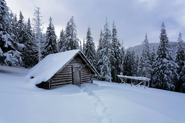Malownicza Zima Krajobraz Chaty Snowy Góry Las Pejzaż Zimowy Ulotki — Zdjęcie stockowe
