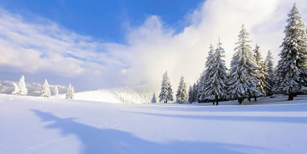 Daleko Wysokich Górach Pokryte Biały Śnieg Stoisko Kilka Zielonych Drzew — Zdjęcie stockowe