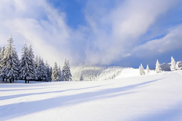 Захватывающая Панорама Открывается Горы Деревья Покрытые Белым Снегом Лужайку Голубое — стоковое фото