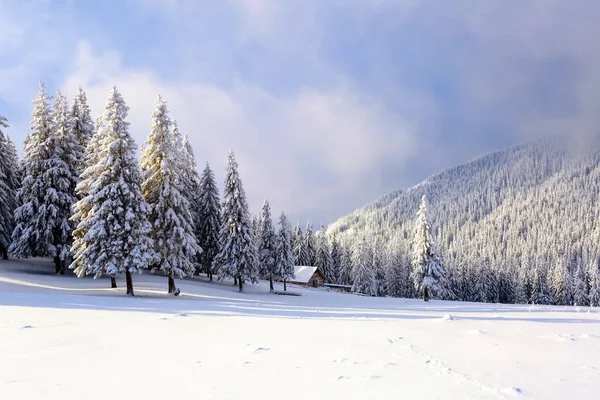 Alto Las Montañas Bosque Cubierto Nieve Hay Una Vieja Choza —  Fotos de Stock