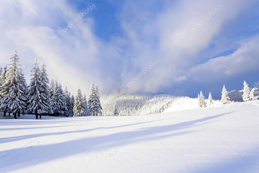 Spectacular panorama is opened on mountains,  trees covered with white snow,  lawn and blue sky with clouds. The game of light and shadow beautifully plays with volumes. 