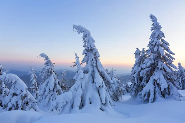 Meravigliosa Alba Invernale Alta Montagna Splendide Foreste Campi Paesaggio Turistico — Foto Stock