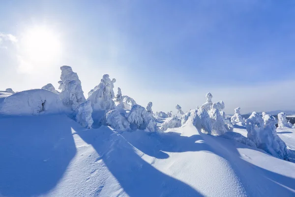 在遥远的高山上 在一个美丽的冬天 在田野中的神奇雪花中 仅有几棵绿树 旅游风景 地点喀尔巴泰 乌克兰 — 图库照片