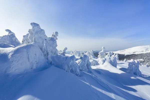 Çimenlerin Üzerine Buz Heykeller Bak Kar Ile Kaplı Ağaçlar Yüksek — Stok fotoğraf