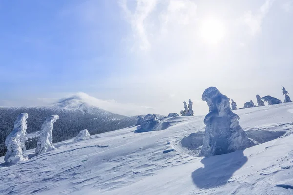 Velkolepé Panorama Otevřen Hory Stromy Pokryté Sněhem Trávníku Modrá Obloha — Stock fotografie