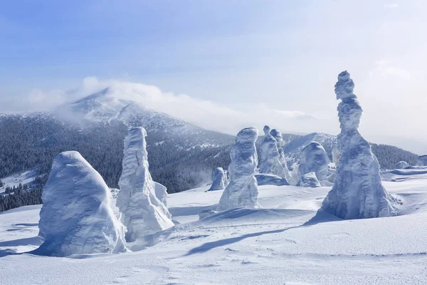 Sommet Des Montagnes Sur Pelouse Dressent Des Arbres Recouverts Neige — Photo