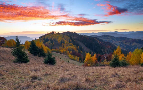 Uma bela paisagem com altas montanhas, céu com nuvens e pôr do sol. Localização lugar Cárpatos Ucrânia Europa. Um dia ensolarado incrível. Há umas árvores exuberantes agradáveis no gramado com folhas alaranjadas . — Fotografia de Stock