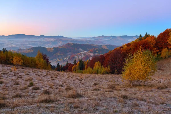 Een prachtig landschap met hoge bergen. Ongelooflijke zonsopgang. Locatie plaats Carpathians Oekraïne Europa. Er is een mooie weelderige bomen op het gazon met oranje bladeren. Majestueuze herfst landelijk landschap. — Stockfoto