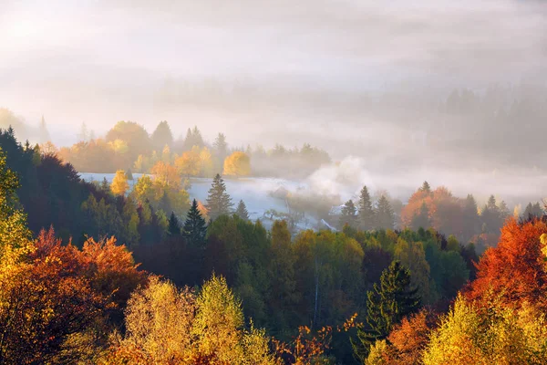The lawn is enlightened by the sun rays. Majestic autumn rural landscape. Fantastic scenery with morning fog. Green meadows in frost. Picturesque resort Carpathians valley, Ukraine, Europe. — Stock Photo, Image