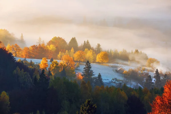 The lawn is enlightened by the sun rays. Majestic autumn rural landscape. Fantastic scenery with morning fog. Green meadows in frost. Picturesque resort Carpathians valley, Ukraine, Europe. — Stock Photo, Image