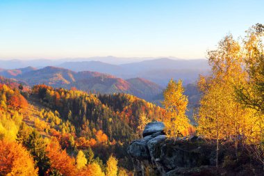 Güzel dağlar, tarlalar ve ormanlar ile manzara. Çim güneş ışınları ile aydınlanmış. Tarlada portakal yapraklarıyla dolu ağaçlar var. Harika bir sonbahar günü. Pitoresk tatil.