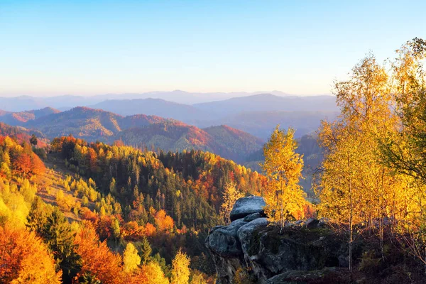 Güzel dağlar, tarlalar ve ormanlar ile manzara. Çim güneş ışınları ile aydınlanmış. Tarlada portakal yapraklarıyla dolu ağaçlar var. Harika bir sonbahar günü. Pitoresk tatil.