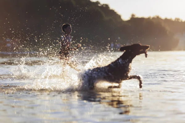 Ein Junge läuft mit dem Hund im See herum und planscht das Wasser. verspielte, glückliche Kindheitsmomente. spiegelt sich die Silhouette auf dem Wasser. schöner sonniger Sommertag. — Stockfoto