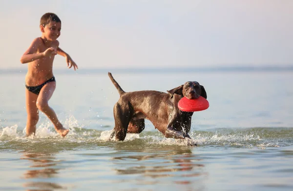 Mutlu küçük çocuk çalışır, suda avcılık kahverengi köpek ile oynar. Mutlu çocukluk. Güzel güneşli bir yaz günü. Tatil gölü Svitiaz yeri, Ukrayna. — Stok fotoğraf