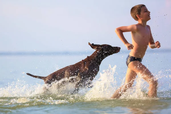 Bir çocuk gölde köpekle koşarak etrafa su sıçratıyor. Eğlenceli, mutlu çocukluk anları. Siluet suya yansıyor. Güzel güneşli yaz günü. — Stok fotoğraf