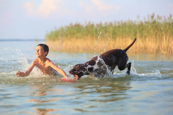 Schöne sonnige Sommerkulisse. Am Tag, an dem der kleine Junge spielt, rennt er mit dem Jagdhund am See herum. Glückliche Kindheitsmomente. die Silhouette spiegelt sich im Wasser. — Stockfoto