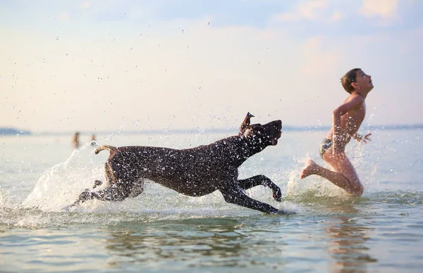 Bir çocuk gölde köpekle koşarak etrafa su sıçratıyor. Eğlenceli, mutlu çocukluk anları. Siluet suya yansıyor. Güzel güneşli yaz günü. — Stok fotoğraf