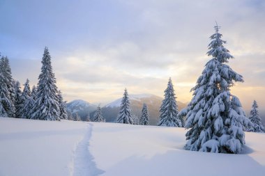 Adil ağaçlar, dağlar ve ayak yolu ile karla kaplı çim ile kış manzara.