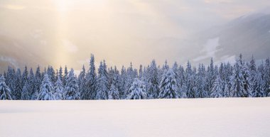 Kış manzarası. Muhteşem panorama dağlarda açılır, ağaçlar beyaz kar, çim ve bulutlar ile mavi gökyüzü ile kaplı.