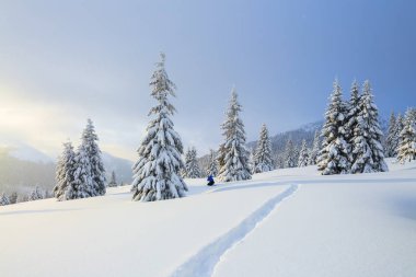 Kış manzarası. Çim yolda adam duruyor ve fotoğrafçılar dağlar ve orman. Ağaçlar kar taneleriyle dolup takınıyor..