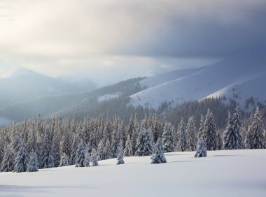 Soğuk kış gününde güzel manzara. Karla kaplı çimenlerde, kar beyazı zirveleri olan yüksek dağlarda, kar yığınlarındaki ağaçlarda.