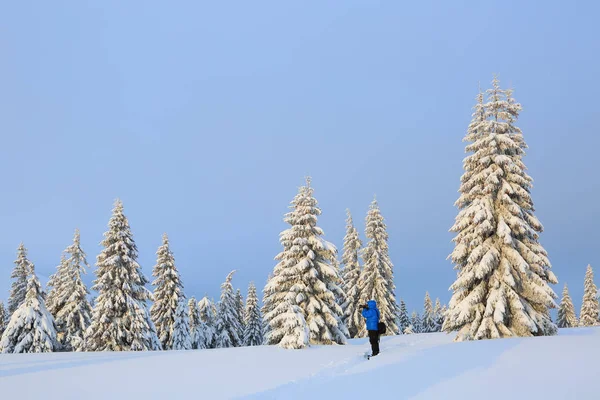 Kış manzarası. Çim yolda adam duruyor ve fotoğrafçılar dağlar ve orman. Ağaçlar kar taneleriyle dolup takınıyor..