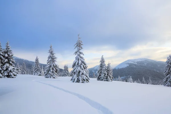 寒冷的冬日风景优美。在覆盖着雪的草坪上，有一条小路通向高山，有雪白的山峰，在雪堆里飘着树木。. — 图库照片
