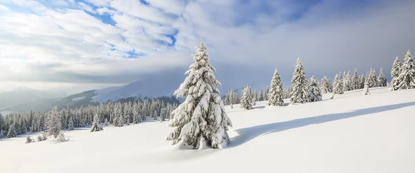 冬季景观。壮观的全景在山上打开，树木覆盖着白雪，草坪和蓝天与云. — 图库照片