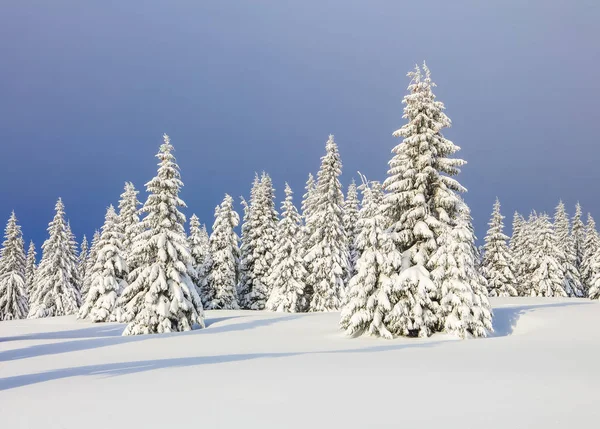 寒冷的冬日早晨,美丽的风景.草坪和森林。地点：喀尔巴阡山脉，乌克兰，欧洲. — 图库照片